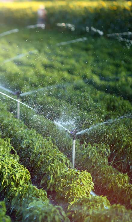 KC Northwest Landscape Services LLC Irrigation System Repair